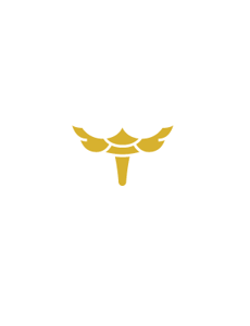 winBrain